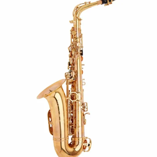 Allora AAS-580 Chicago Series Alto Saxophone Un-Lacquered Unlacquered Keys