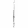 Allora AFL-250 Student Series Flute Offset G C-Foot
