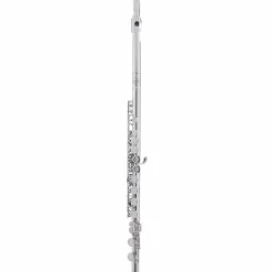 Allora AFL-250 Student Series Flute Offset G C-Foot