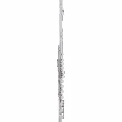 Allora AFL-250 Student Series Flute Offset G C-Foot