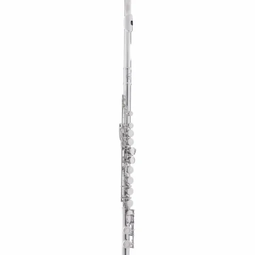 Allora AFL-250 Student Series Flute Offset G C-Foot