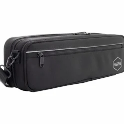 Allora AFL-250 Student Series Flute Offset G C-Foot