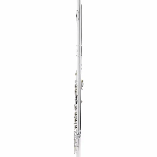 Allora AFL-250 Student Series Flute Offset G C-Foot