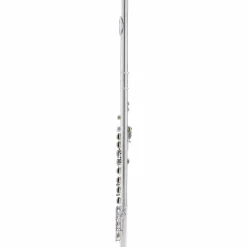 Allora AFL-250 Student Series Flute Offset G C-Foot