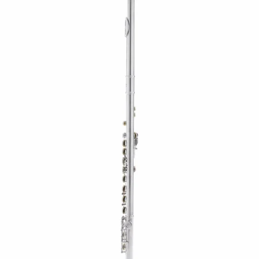 Allora AFL-250 Student Series Flute Offset G C-Foot