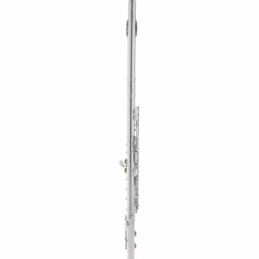 Allora AFL-250 Student Series Flute Offset G C-Foot