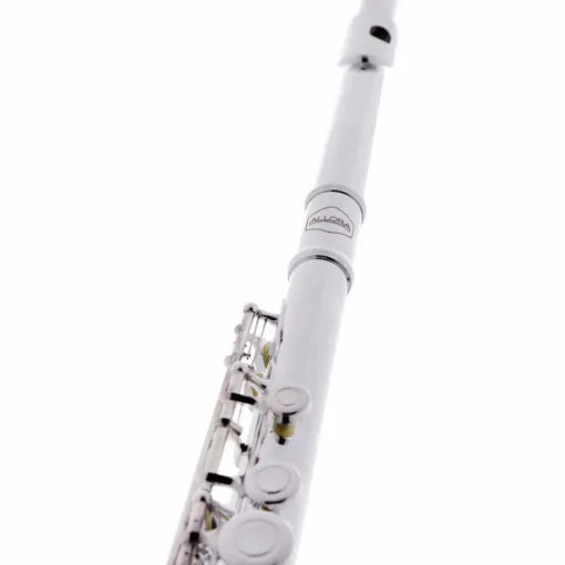 Allora AFL-250 Student Series Flute Offset G C-Foot