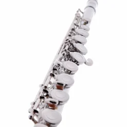 Allora AFL-250 Student Series Flute Offset G C-Foot