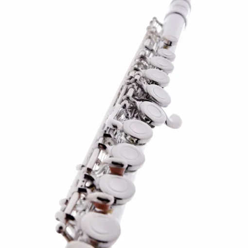 Allora AFL-250 Student Series Flute Offset G C-Foot