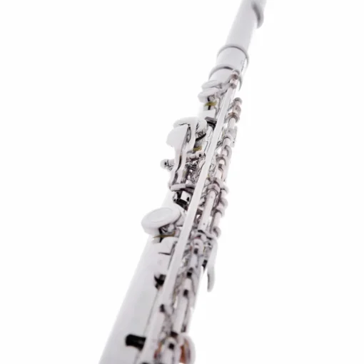 Allora AFL-250 Student Series Flute Offset G C-Foot