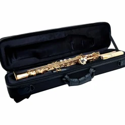 Allora ASPS-250 Student Series Soprano Sax Lacquer Lacquer Keys