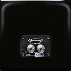 Avantone MixCube 5.25" Passive Studio Monitor (Each) - Black