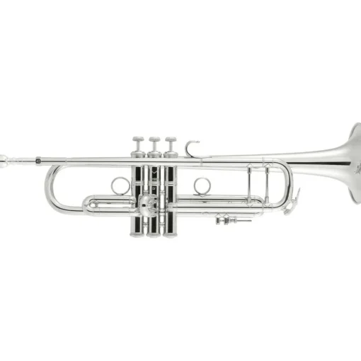 Bach 190 Stradivarius 65 Bell Dual Bore Series Professional Bb Trumpet Silver plated Gold Brass Bell