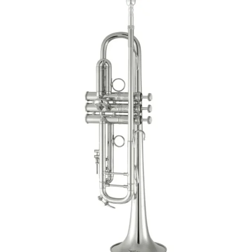 Bach 190 Stradivarius 65 Bell Dual Bore Series Professional Bb Trumpet Silver plated Gold Brass Bell