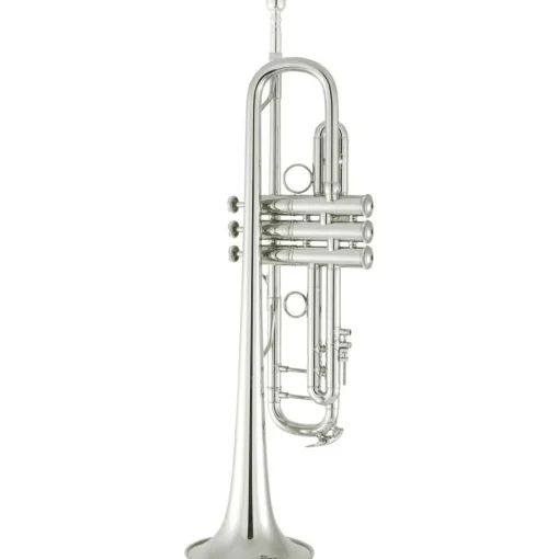 Bach 190 Stradivarius 65 Bell Dual Bore Series Professional Bb Trumpet Silver plated Gold Brass Bell