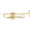 Bach BTR201 Student Series Bb Trumpet Lacquer Yellow Brass Bell