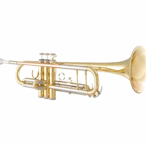 Bach BTR201 Student Series Bb Trumpet Lacquer Yellow Brass Bell