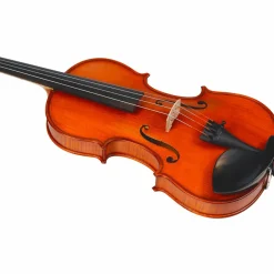Bellafina Violin Outfit Domenico Model Oblong Case/Brazilwood Bow 4/4