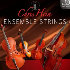 Best Service Chris Hein Ensemble Strings