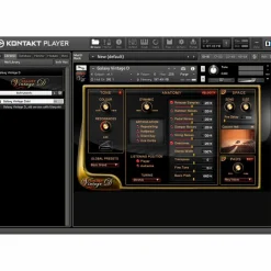 Best Service Galaxy Vintage D Piano