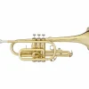 Blessing BCR-1230 Series Bb Cornet Lacquer