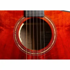 Breedlove Oregon All Myrtlewood Thinline Limited Edition Concert Cutaway Acoustic-Electric Guitar Hot Rod
