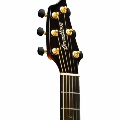 Breedlove Oregon All Myrtlewood Thinline Limited Edition Concert Cutaway Acoustic-Electric Guitar Hot Rod