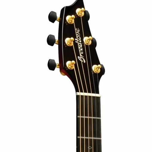 Breedlove Oregon All Myrtlewood Thinline Limited Edition Concert Cutaway Acoustic-Electric Guitar Hot Rod
