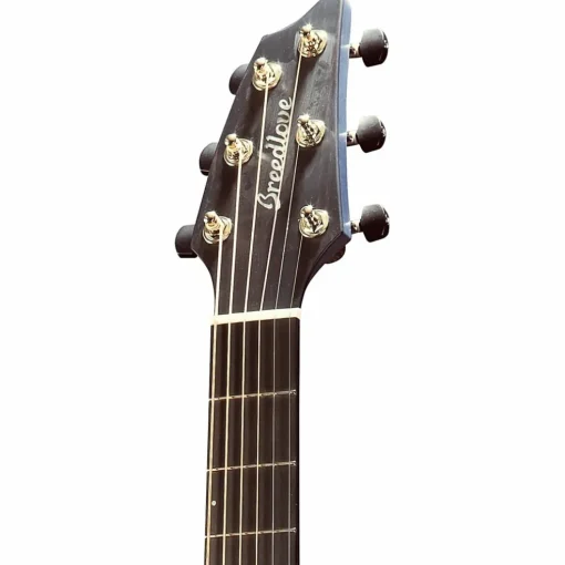 Breedlove Oregon Concert Thinline Myrtlewood Cutaway Acoustic-Electric Guitar Stormy Night
