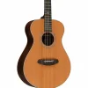 Breedlove Premier Companion Red Cedar-Brazilian Limited-Edition Acoustic-Electric Guitar Natural