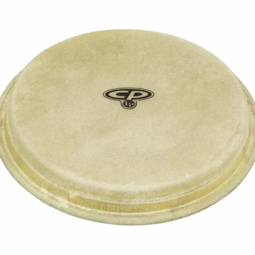 CP Bongo Head 7 in