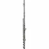 Di Zhao DZ 401 Student Flute, Open Hole, Y-arms, All Silver Plated with Silver Lip and Riser Offset G B-Foot