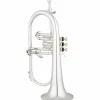 Eastman EFG512G Series Bb Flugelhorn Silver Gold Brass Bell