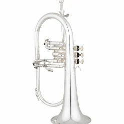 Eastman EFG512G Series Bb Flugelhorn Silver Gold Brass Bell