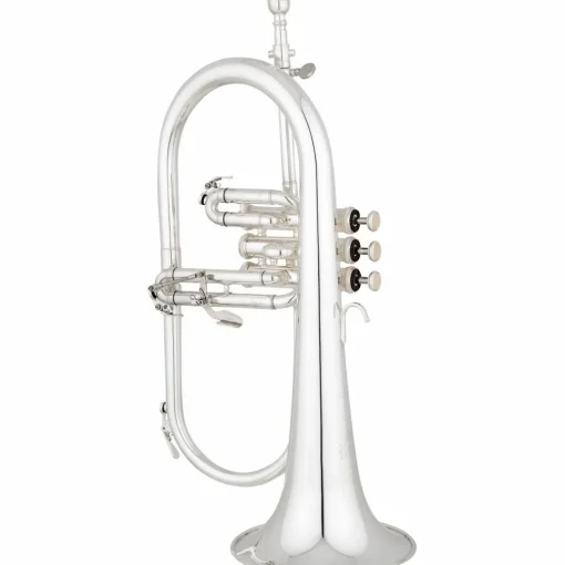Eastman EFG512G Series Bb Flugelhorn Silver Gold Brass Bell