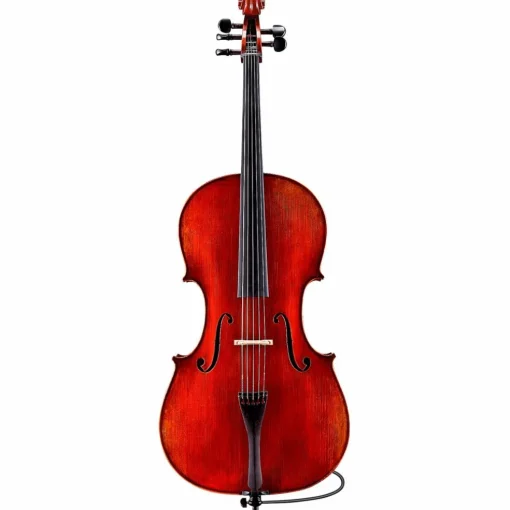 Eastman Rudoulf Doetsch VC7015 Series+ 5-String Cello with Case and Bag 4/4