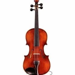 Eastman Samuel Eastman VA145 Series+ Viola Outfit with Case and Bow 16 in.
