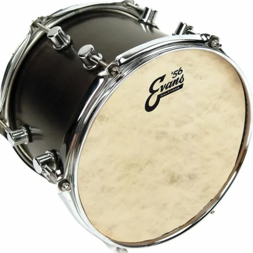 Evans Calftone Drum Head 16 in.