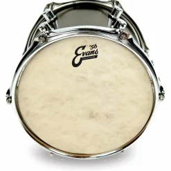 Evans Calftone Drum Head 16 in.