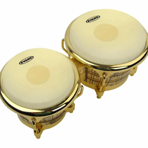 Evans Tri-Center Bongo Head Combo Pack