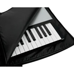 Gator GKBE-76 76-Note Economy Keyboard Gig Bag Black 51