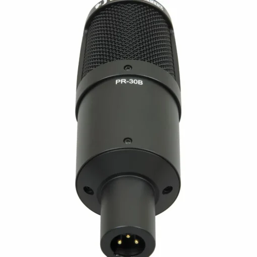 Heil Sound PR 30B Large-Diaphragm Dynamic Microphone Black