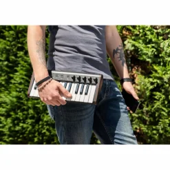 IK Multimedia iRig Keys 2 Mini