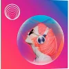 iZotope Neoverb: Crossgrade From Any Paid iZotope Product (Download)