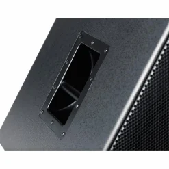 Kali Audio WS-12 V2 12