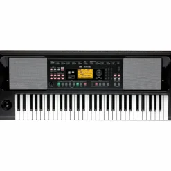 KORG EK-50 CSA 61-Key Arranger Keyboard
