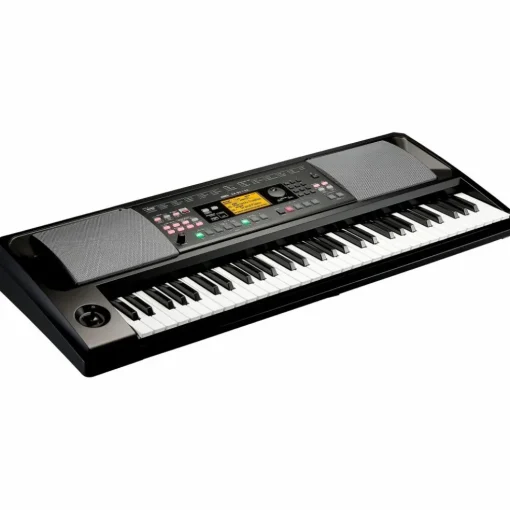 KORG EK-50 CSA 61-Key Arranger Keyboard