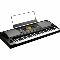 KORG EK-50 CSA 61-Key Arranger Keyboard