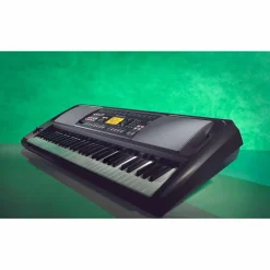 KORG EK-50 CSA 61-Key Arranger Keyboard