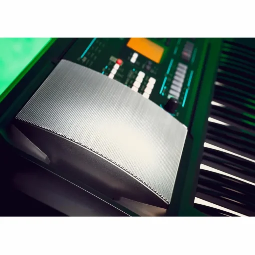 KORG EK-50 CSA 61-Key Arranger Keyboard
